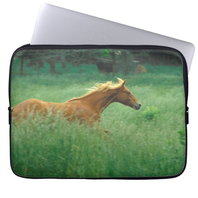 Capa Para Notebook Jovem Stallion Atravessa O Prado (Frente)