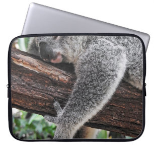 CAPA PARA NOTEBOOK KALA BEAR DORMINDO NA ÁRVORE