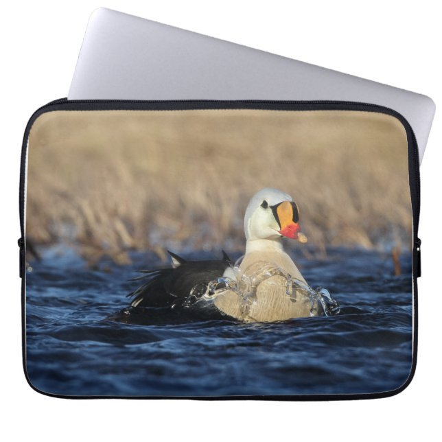 Capa Para Notebook King Eider Bird (Frente)