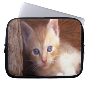 Capa Para Notebook Kitten