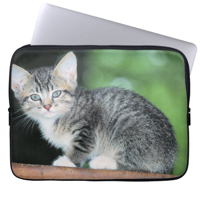 Capa Para Notebook Kitten (Frente)