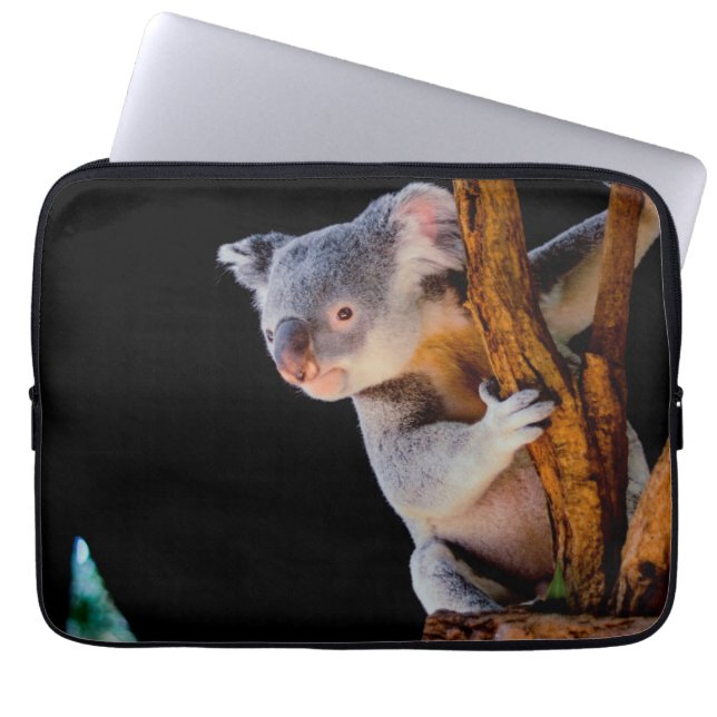 Capa Para Notebook Koala Cute na Cinza (Frente)
