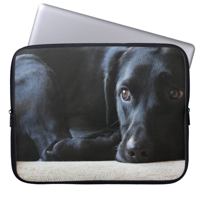 Capa Para Notebook Labrador preto (Frente)