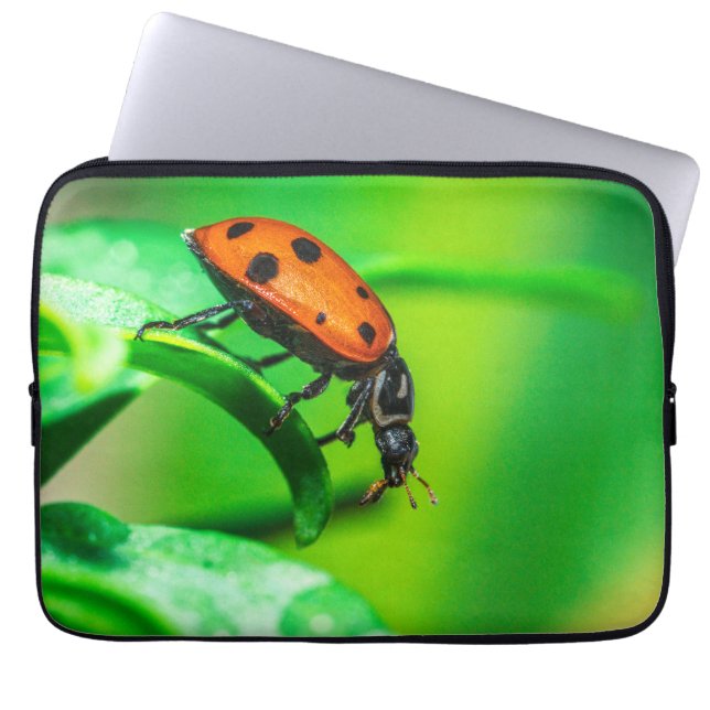 Capa Para Notebook Ladybug Leaf (Frente)