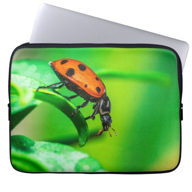 Capa Para Notebook Ladybug Macro Laptop Sleeve | Nature Tech Pouch (Frente)