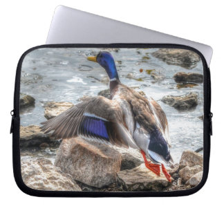 Capa Para Notebook Landing Mallard Duck Drake 10 Wildlife Foto