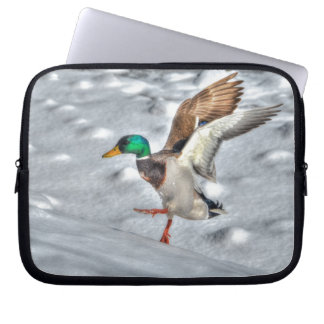 Capa Para Notebook Landing Mallard Duck Drake 4 Wildlife Foto