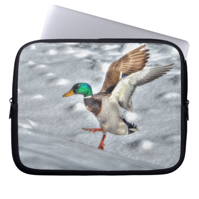 Capa Para Notebook Landing Mallard Duck Drake 4 Wildlife Foto (Frente)