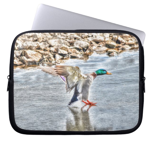 Capa Para Notebook Landing Mallard Duck Drake 8 Wildlife Foto (Frente)