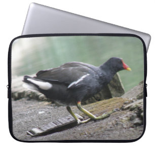 Capa Para Notebook Laptop Moorhen