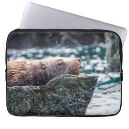 Capa Para Notebook Leão-Do-Mar Na Baía De Ressurreição, Alasca