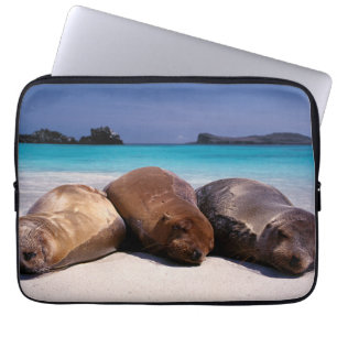 Capa Para Notebook Leões de mar que dormem na praia Equador