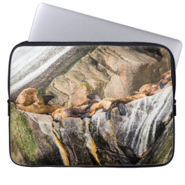 Capa Para Notebook Leões Do Mar Deitados Nas Rochas