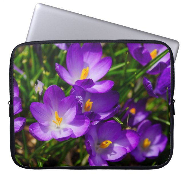 Capa Para Notebook Lilac Crocuses (Frente)