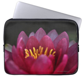 Capa Para Notebook Lily Água