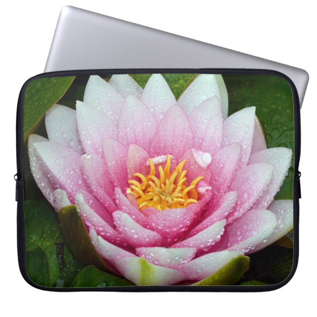 Capa Para Notebook Lily de água rosa (Frente)