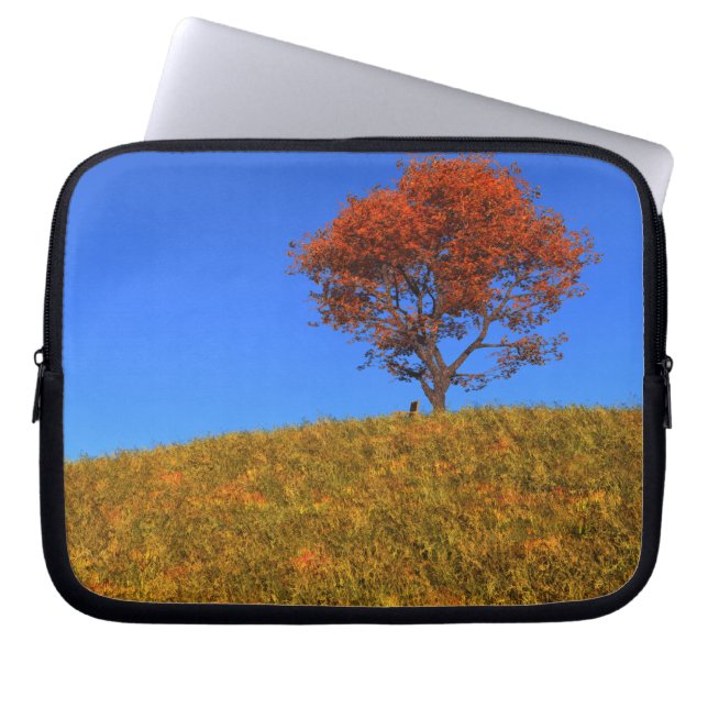 Capa Para Notebook Limpar Bolsa de laptop do Dia do outono (Frente)
