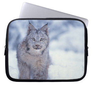 Capa Para Notebook Lince na neve nos contrafortes