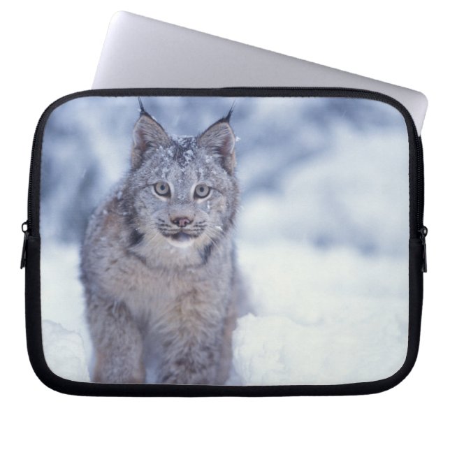 Capa Para Notebook Lince na neve nos contrafortes (Frente)