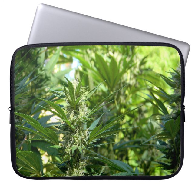 Capa Para Notebook Linda...... (Frente)