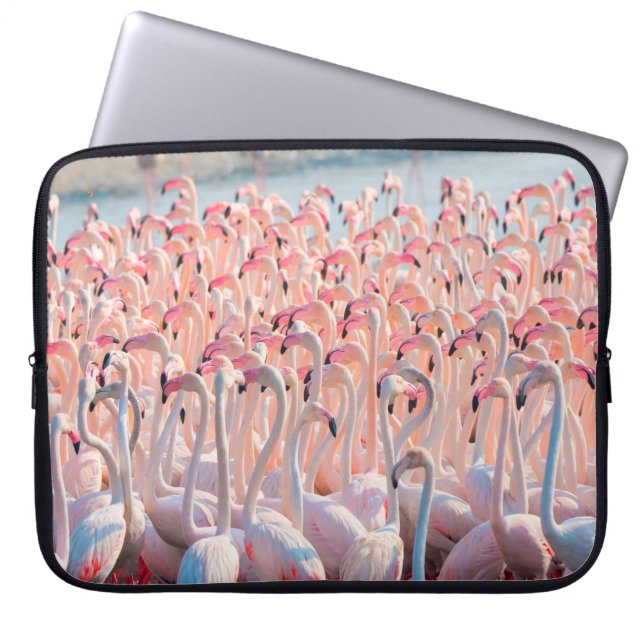Capa Para Notebook Lindo e selvagem - Flamingosflock,maior,rosa,d (Frente)