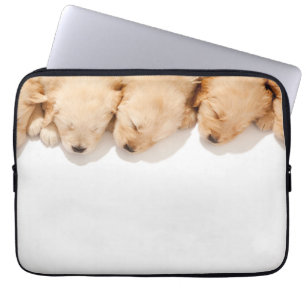 Capa Para Notebook Line of Sleeping Golden Retriever Puppies
