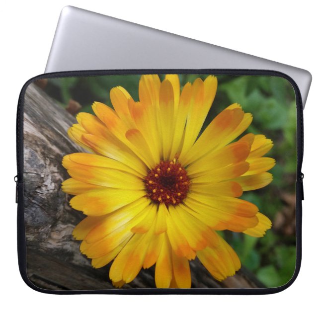 Capa Para Notebook log marigold on (Frente)