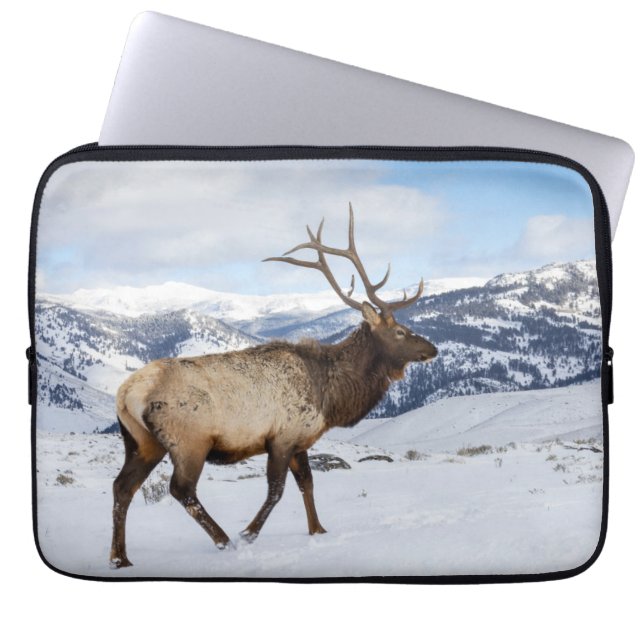 Capa Para Notebook Lone Bull Elk | Parque Nacional Yellowstone (Frente)
