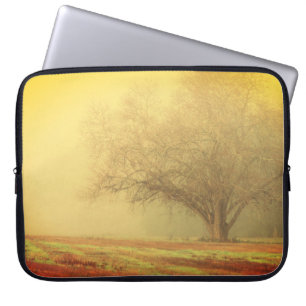 Capa Para Notebook Lone Tree on Misty Morning
