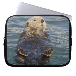 Capa Para Notebook Lontras marinhas brincam em icebergs na Enseada Su
