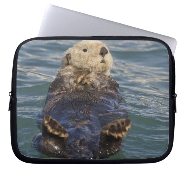 Capa Para Notebook Lontras marinhas brincam em icebergs na Enseada Su (Frente)