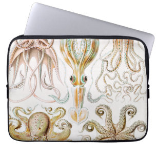 Capa Para Notebook Lula polvo, Gamochonia por Ernst Haeckel