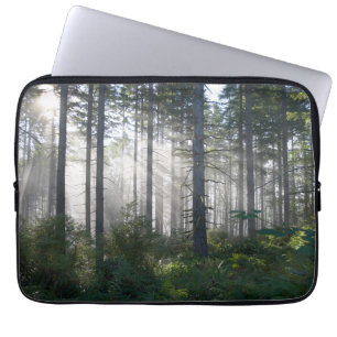 Capa Para Notebook Luz solar que quebra através de uma floresta