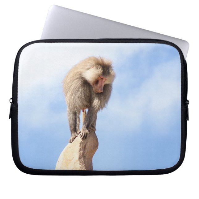 Capa Para Notebook Macaco babuíno no topo de uma montanha (Frente)