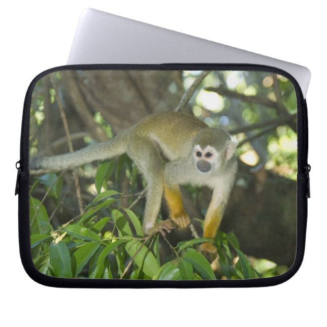 Capa Para Notebook Macaco-de-cheiro-comum, (Saimiri sciureus), Rio (Frente)