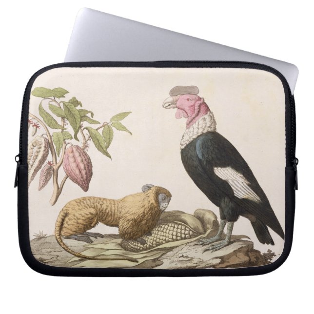 Capa Para Notebook Macaco e condor de leão, nativos ao Chile ou a (Frente)