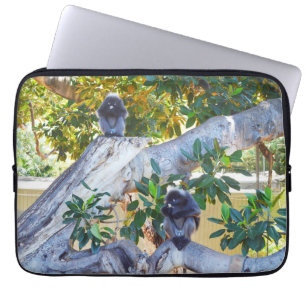 Capa Para Notebook Macacos Black Langur Comendo, Bolsa de laptop