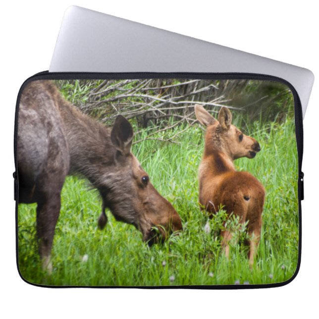 Capa Para Notebook Mãe alerta e bebê de dois alces (Frente)