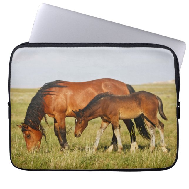 Capa Para Notebook Mãe de Cavalo Selvagem e Grazing Colt (Frente)