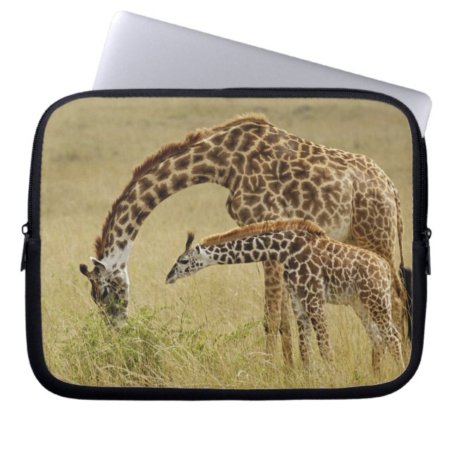 Capa Para Notebook Mãe e bebê Girafa Masai, Giraffa (Frente)
