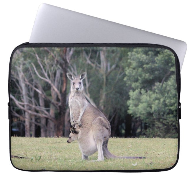 Capa Para Notebook Mãe Kangaroo com Bebê Joey em sua bolsa (Frente)