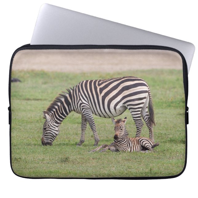 Capa Para Notebook Mãe Zebra com Potro Recém-Nascido (Frente)