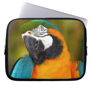 Capa Para Notebook Majestpoderá Macaw
