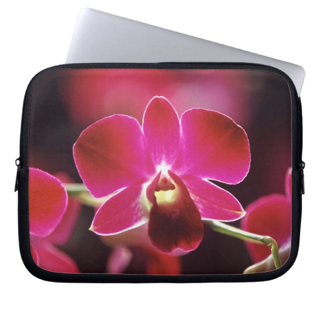 Capa Para Notebook Malásia, Orquídea (Frente)