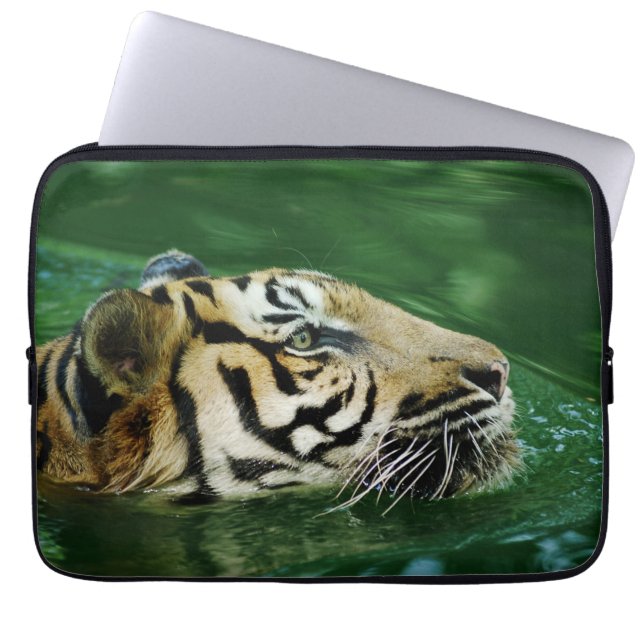 Capa Para Notebook Malayan Tiger Swimming Headshot (Frente)
