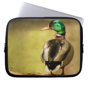 Capa Para Notebook Mallard Duck