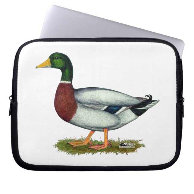 Capa Para Notebook Mallard Duck Drake (Frente)