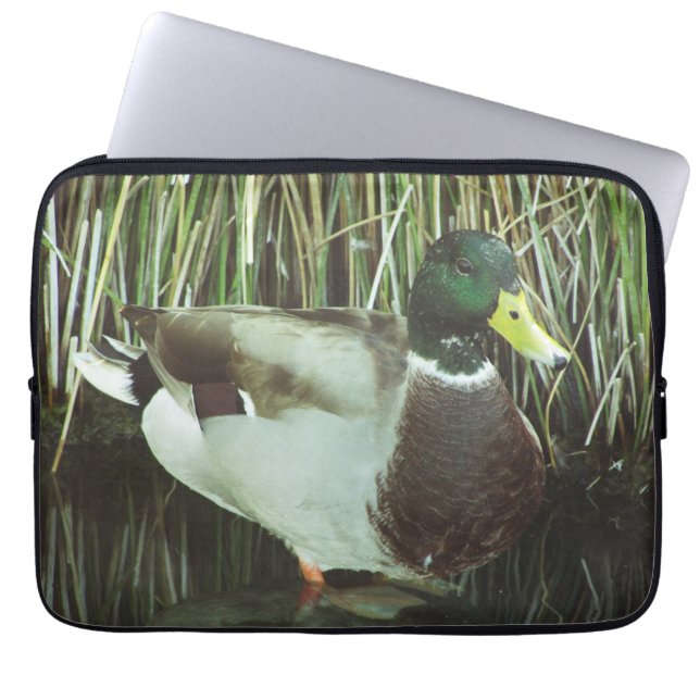 Capa Para Notebook Mallard Duck Foto Distinctiva do Lago Masculino (Frente)
