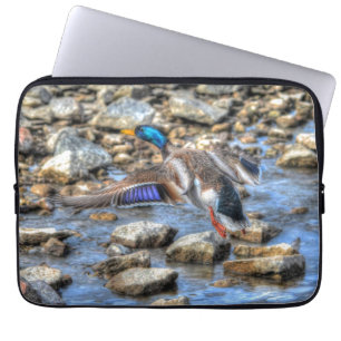Capa Para Notebook Mallard Duck Wildlife Foto para amantes de aves