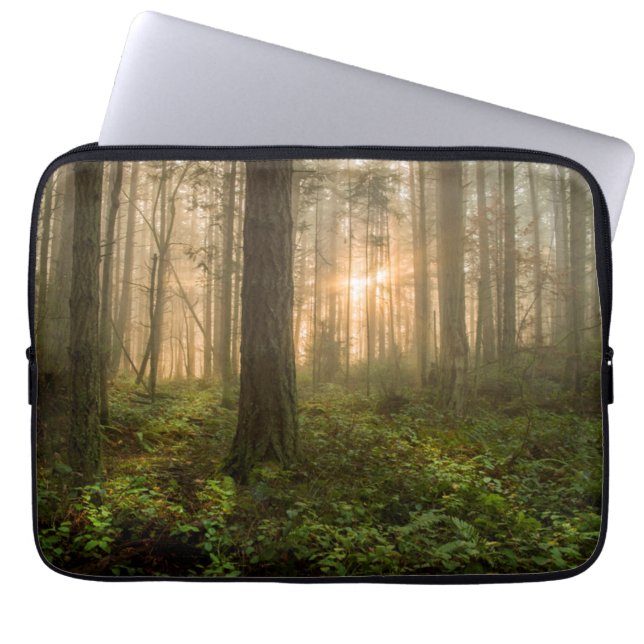 Capa Para Notebook Manhã nevoenta noroeste pacífica da floresta | (Frente)